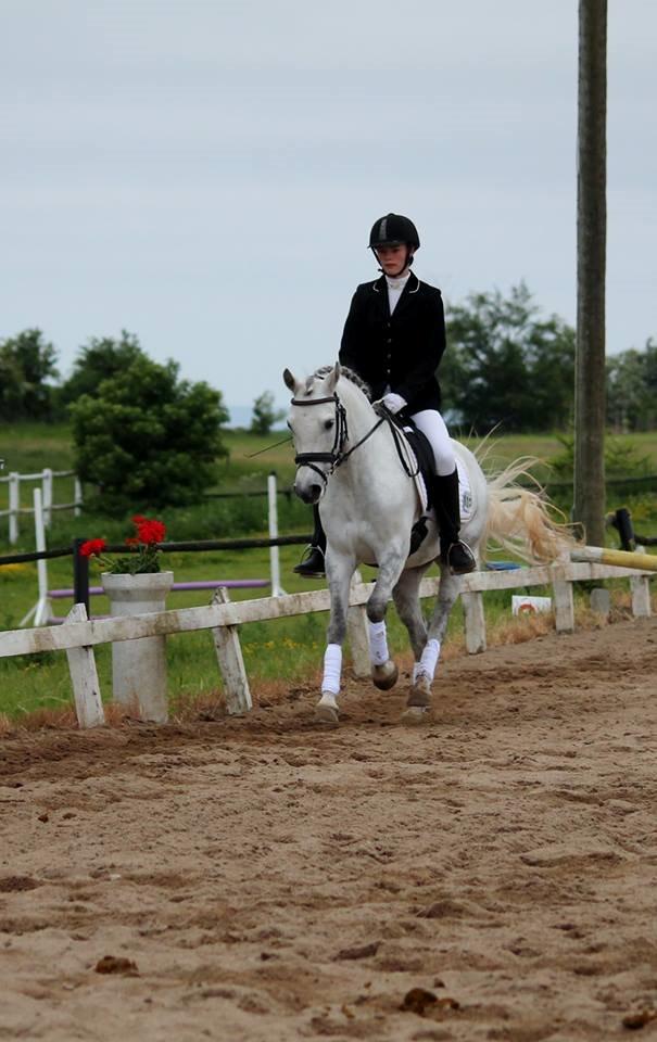 Connemara Haahr's Sundae - Dir. 2013 billede 9