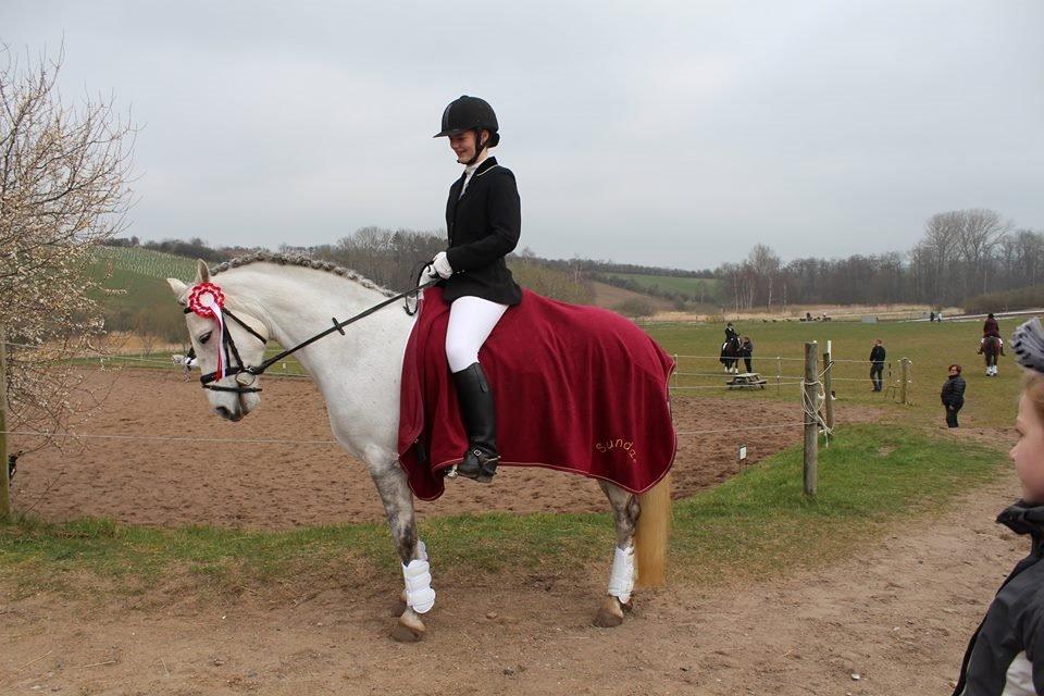 Connemara Haahr's Sundae - MILK billede 11