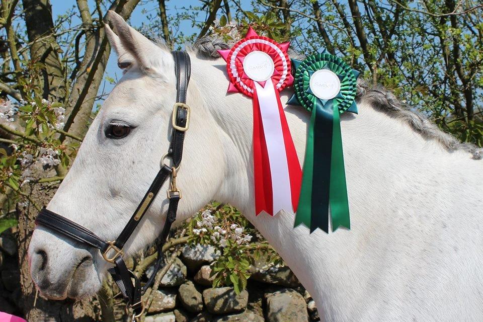 Connemara Haahr's Sundae - Resultat fra SMIR billede 8