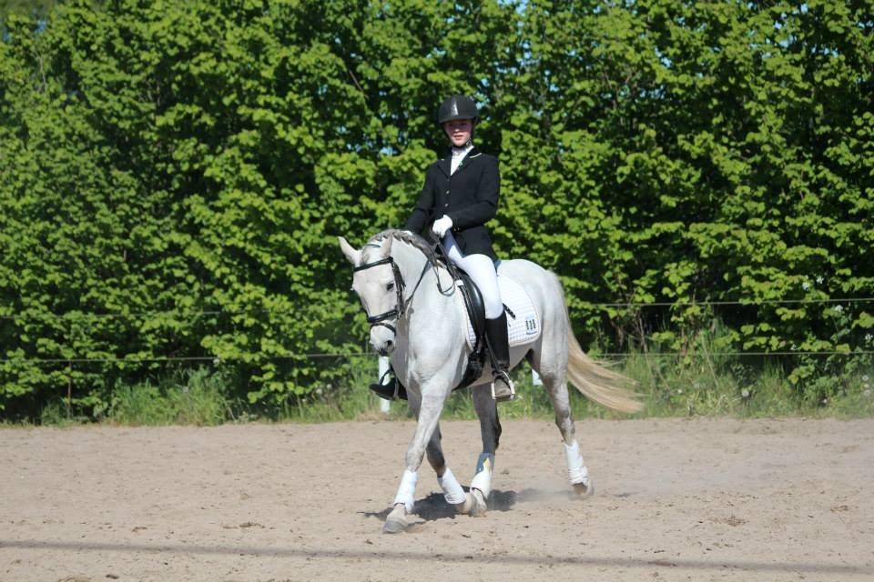 Connemara Haahr's Sundae - Smuksak.  billede 16