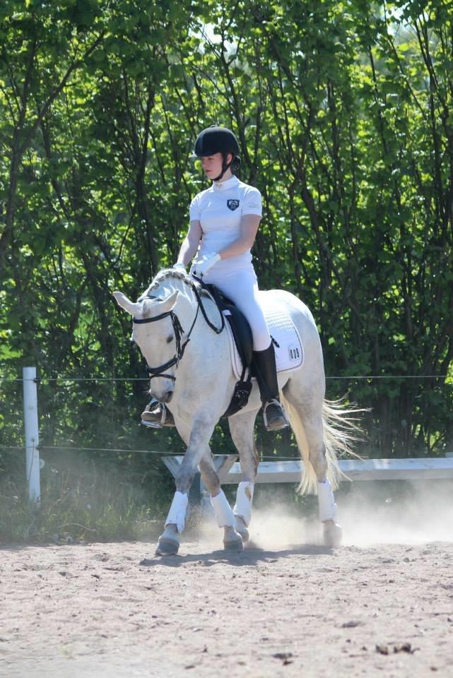 Connemara Haahr's Sundae - Krikkerne 2014. Kom hjem med 2 første plac. billede 15