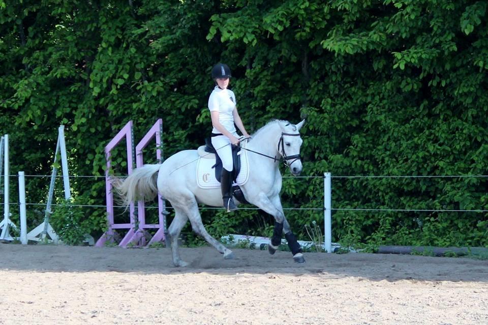 Connemara Haahr's Sundae - Krikkerne 2013. billede 17