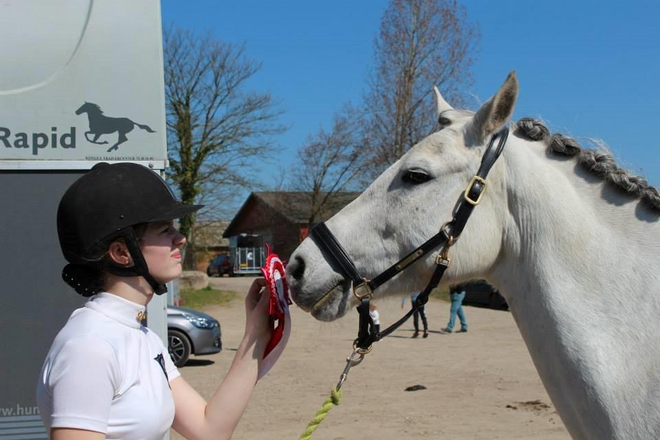 Connemara Haahr's Sundae - Så stolt en equipage. billede 19