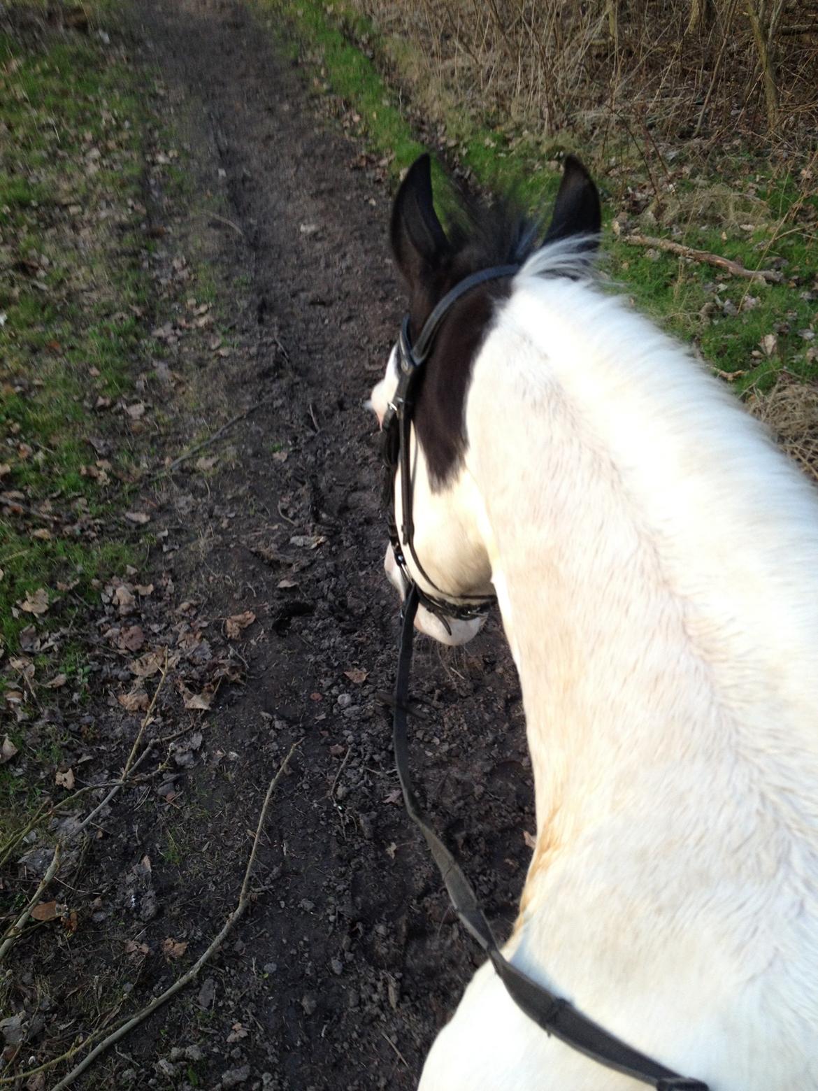 Paint Tophat *Topper* billede 14