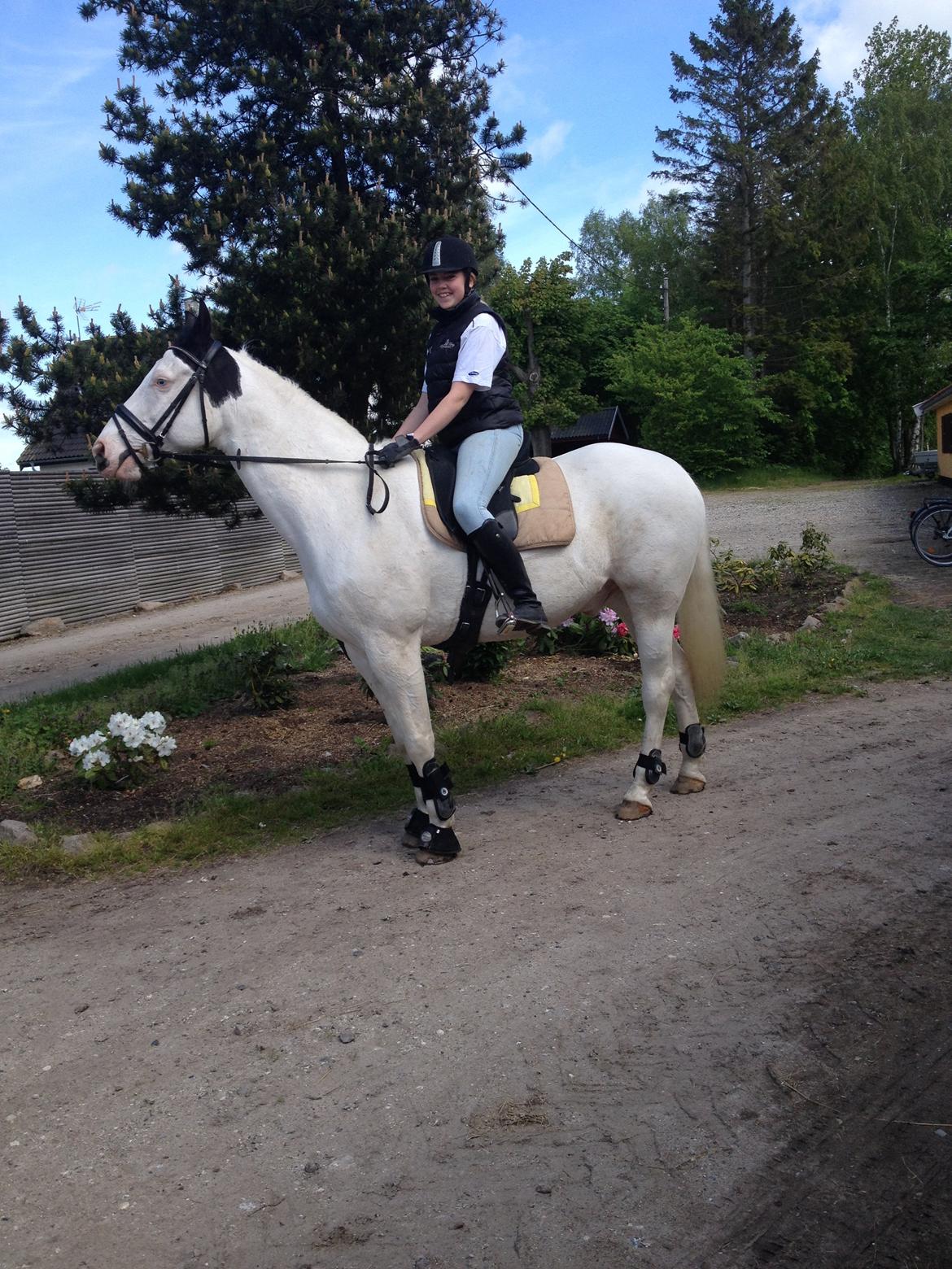 Paint Tophat *Topper* billede 9