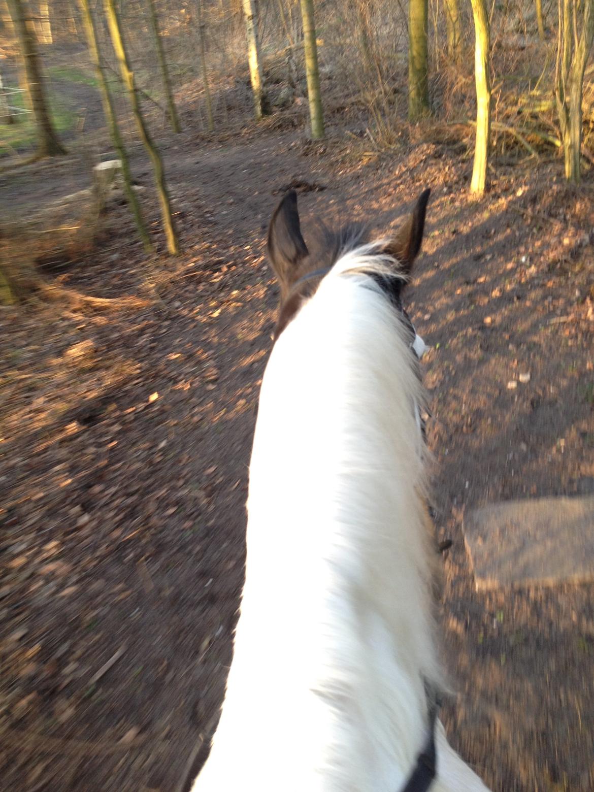 Paint Tophat *Topper* billede 20