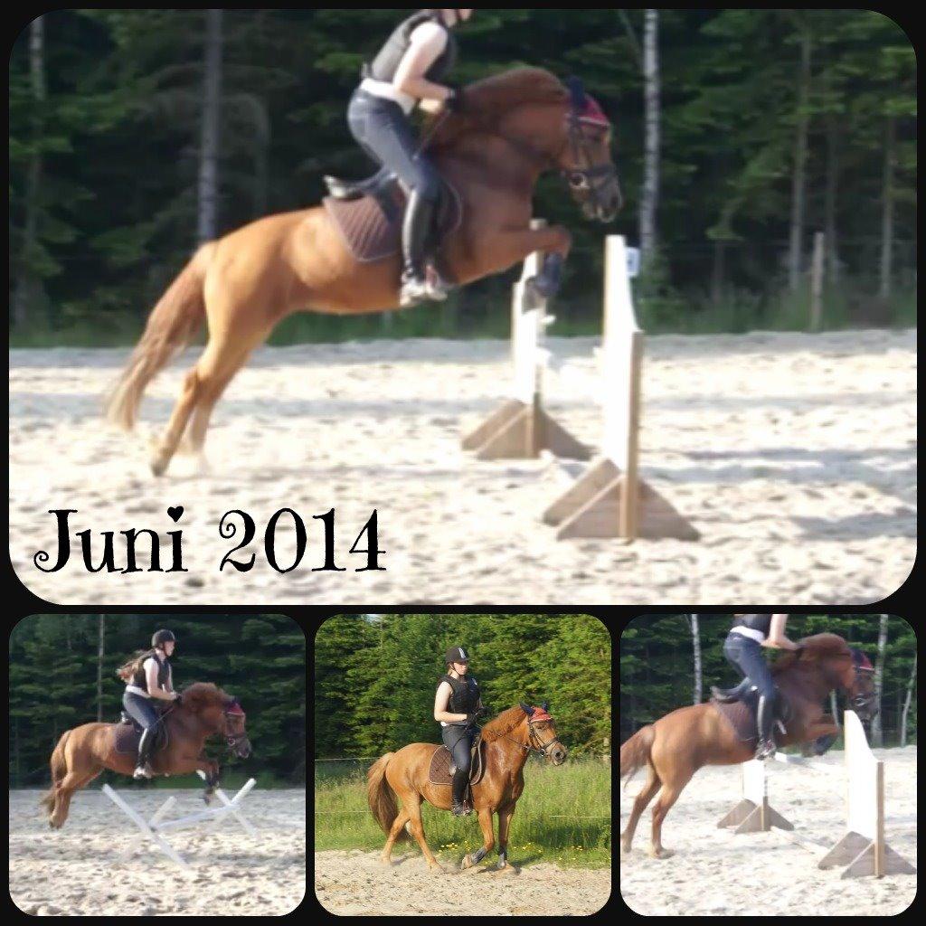 Anden særlig race Rosa - Min lille springhyp! billede 17