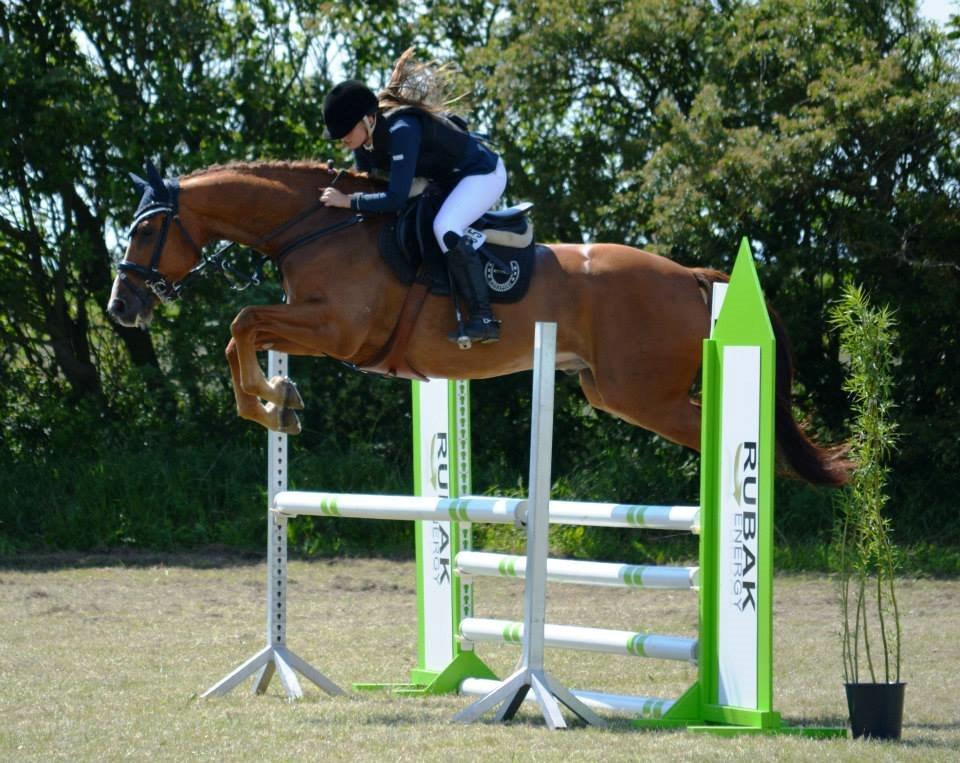 Dansk Varmblod Kærholms Sauer - C-Stævne i Løgstør billede 1