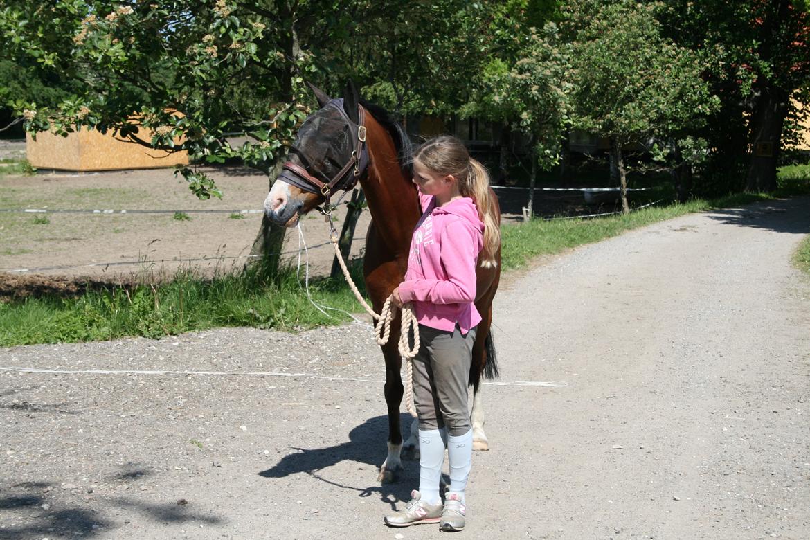 Tysk Sportspony Nike  billede 35