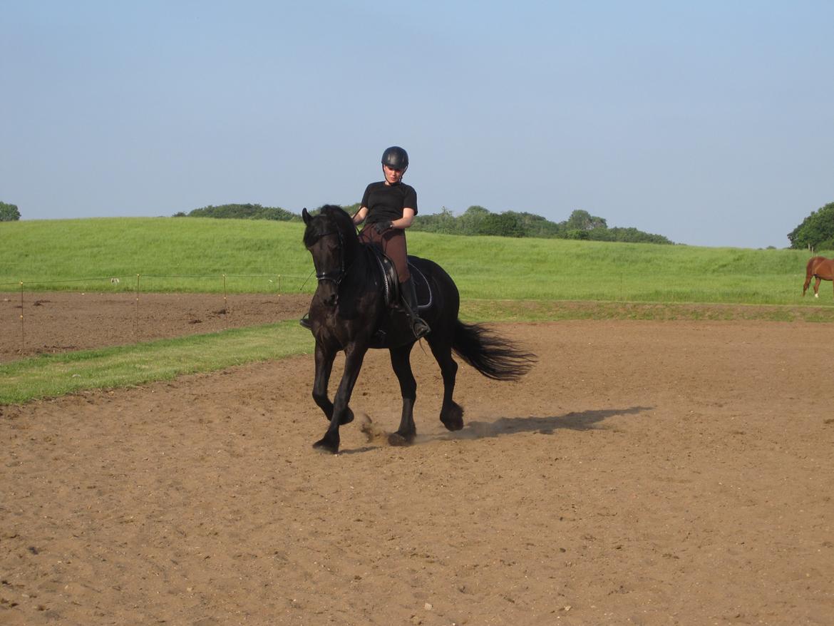 Frieser Freja billede 10