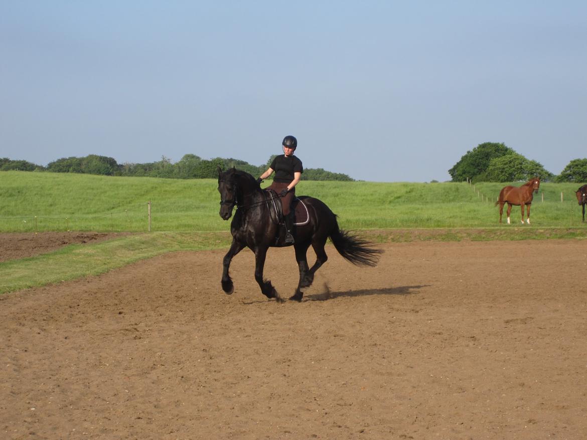 Frieser Freja billede 11