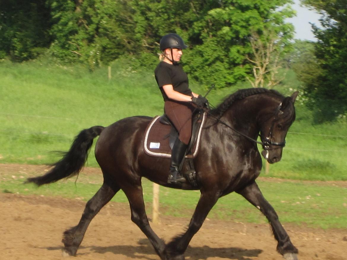 Frieser Freja billede 3