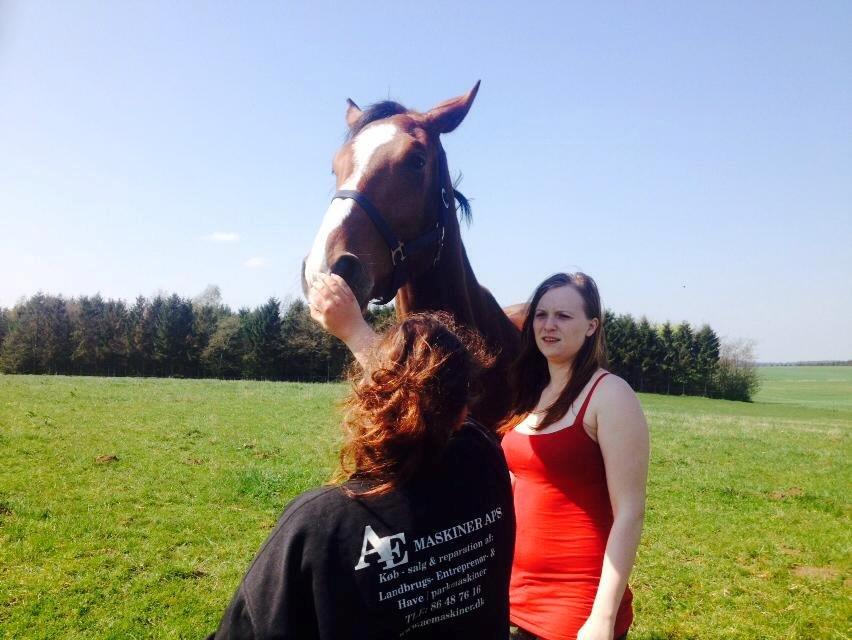 Anden særlig race Plet tidligere part billede 6