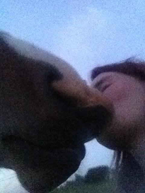 Anden særlig race Plet tidligere part billede 8