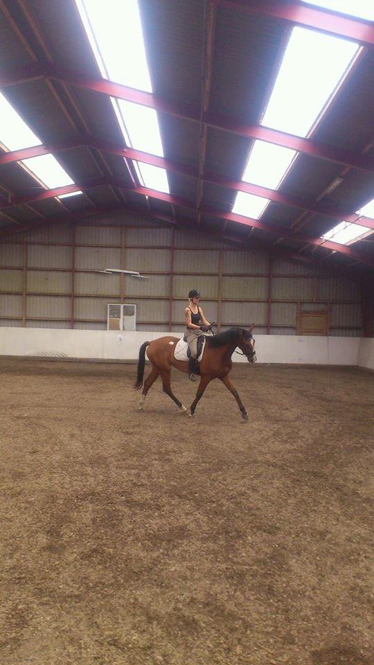 Anden særlig race Plet tidligere part billede 14