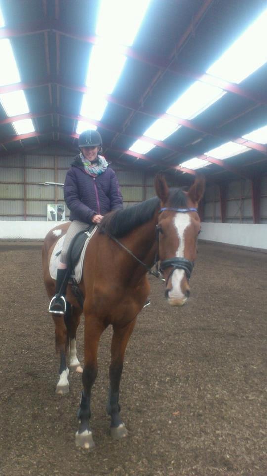 Anden særlig race Plet tidligere part billede 17