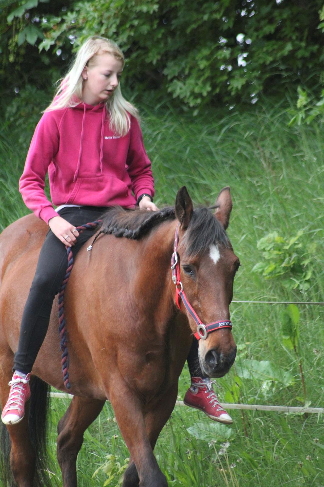 Traver Mark ~ Hypselotte ~ billede 28