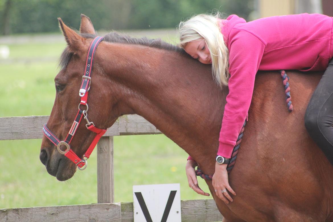 Traver Mark ~ Hypselotte ~ billede 33