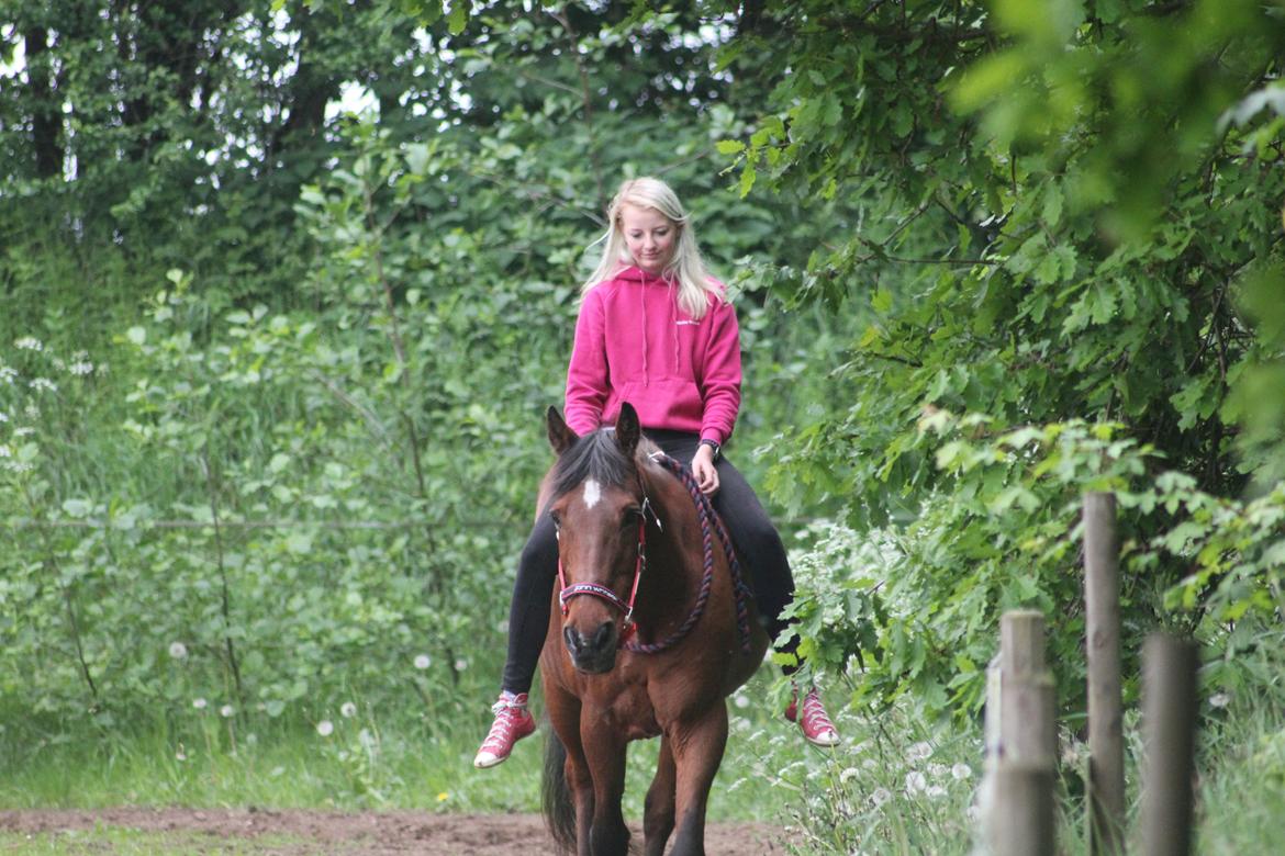 Traver Mark ~ Hypselotte ~ billede 30