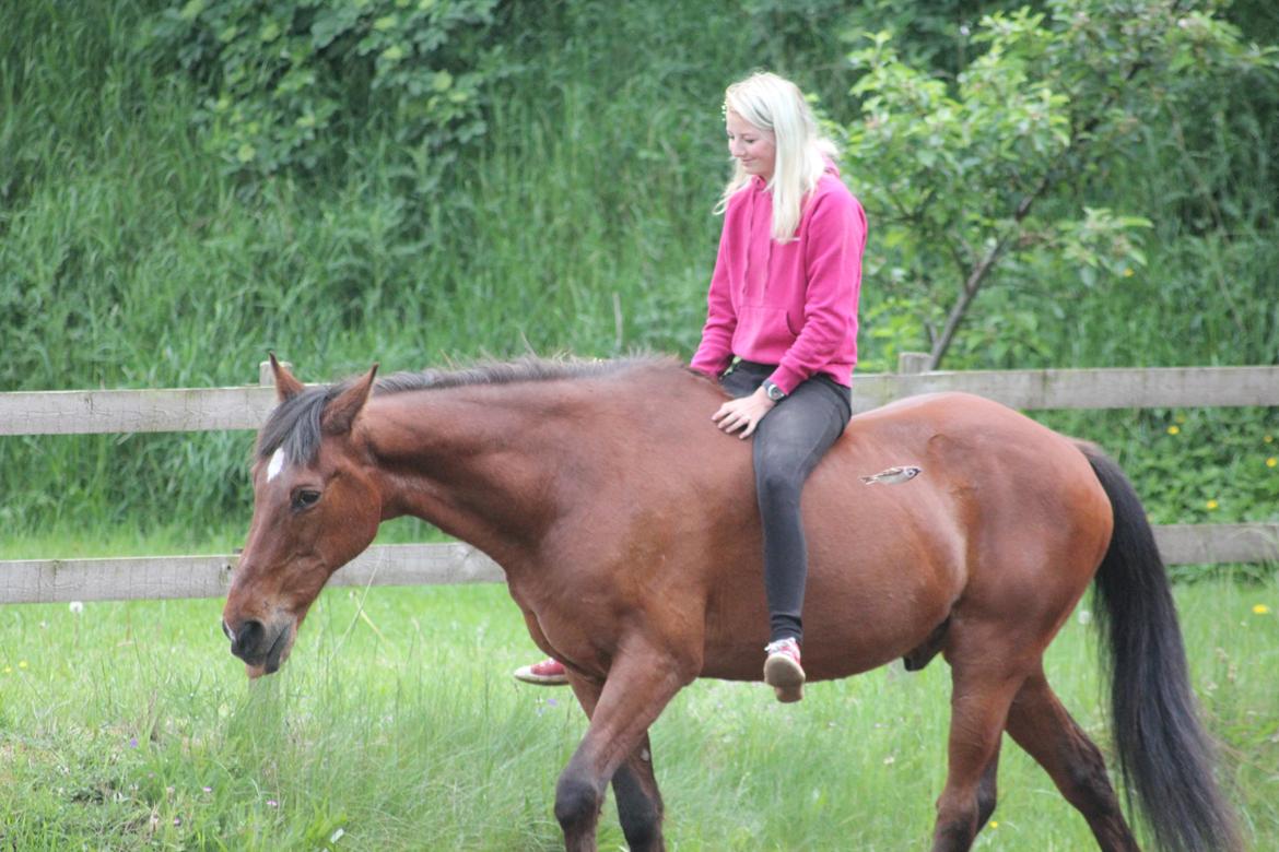 Traver Mark ~ Hypselotte ~ billede 34