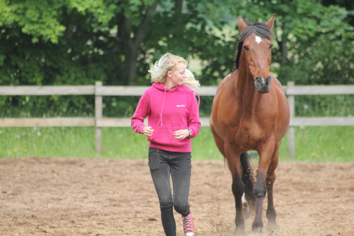 Traver Mark ~ Hypselotte ~ billede 40