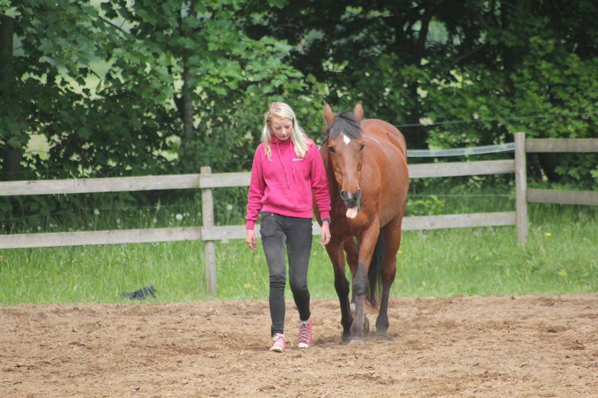 Traver Mark ~ Hypselotte ~ billede 39