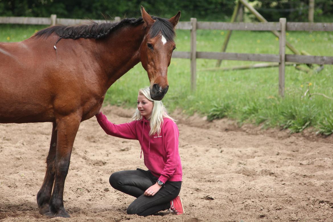 Traver Mark ~ Hypselotte ~ billede 42