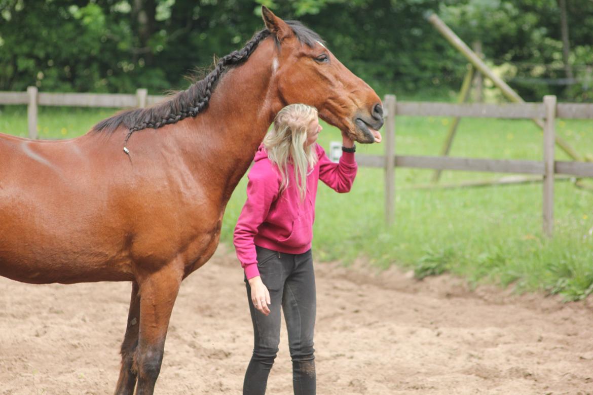 Traver Mark ~ Hypselotte ~ billede 43