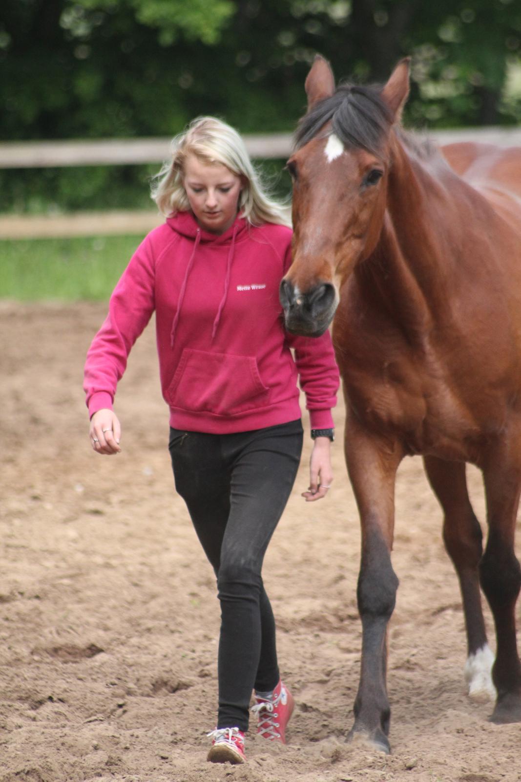 Traver Mark ~ Hypselotte ~ billede 41