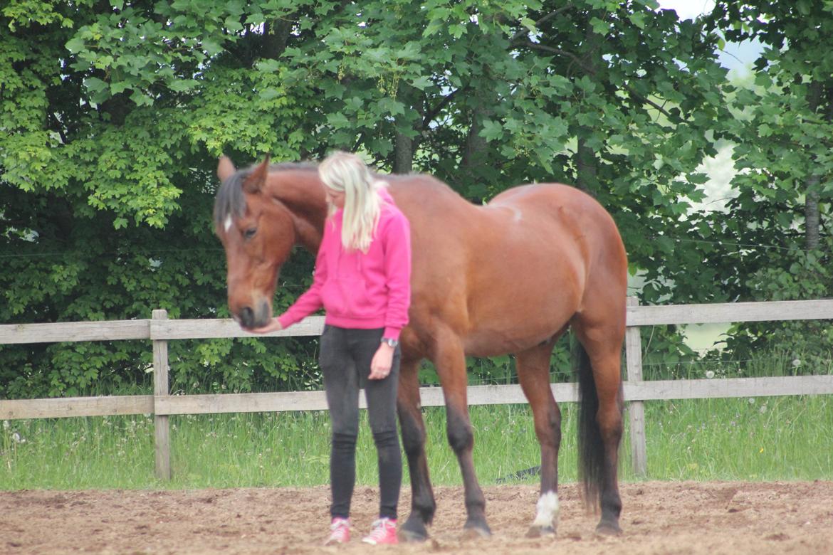 Traver Mark ~ Hypselotte ~ billede 45