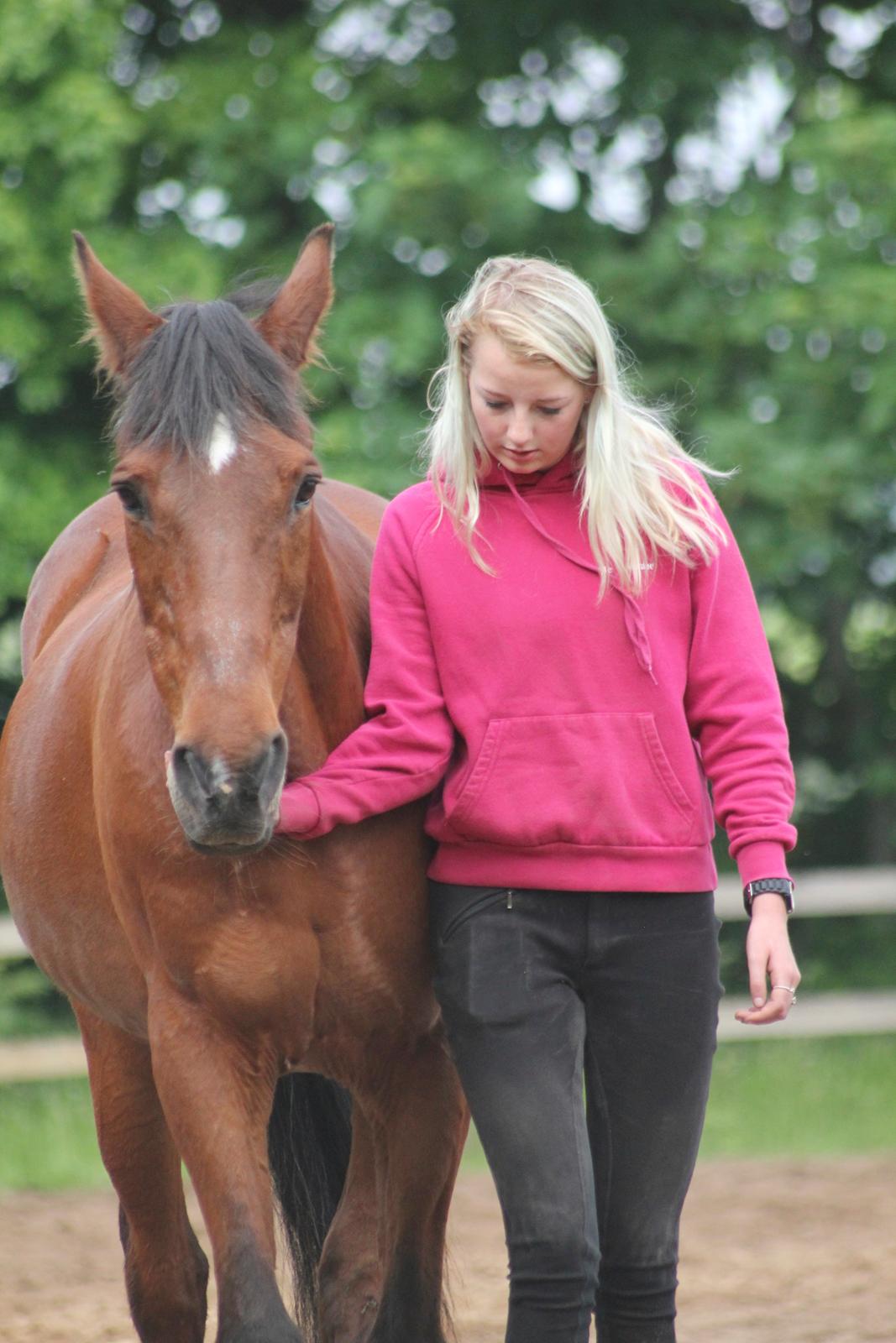 Traver Mark ~ Hypselotte ~ billede 46