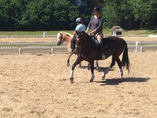 Oldenborg Etasja af Hvarre billede 34