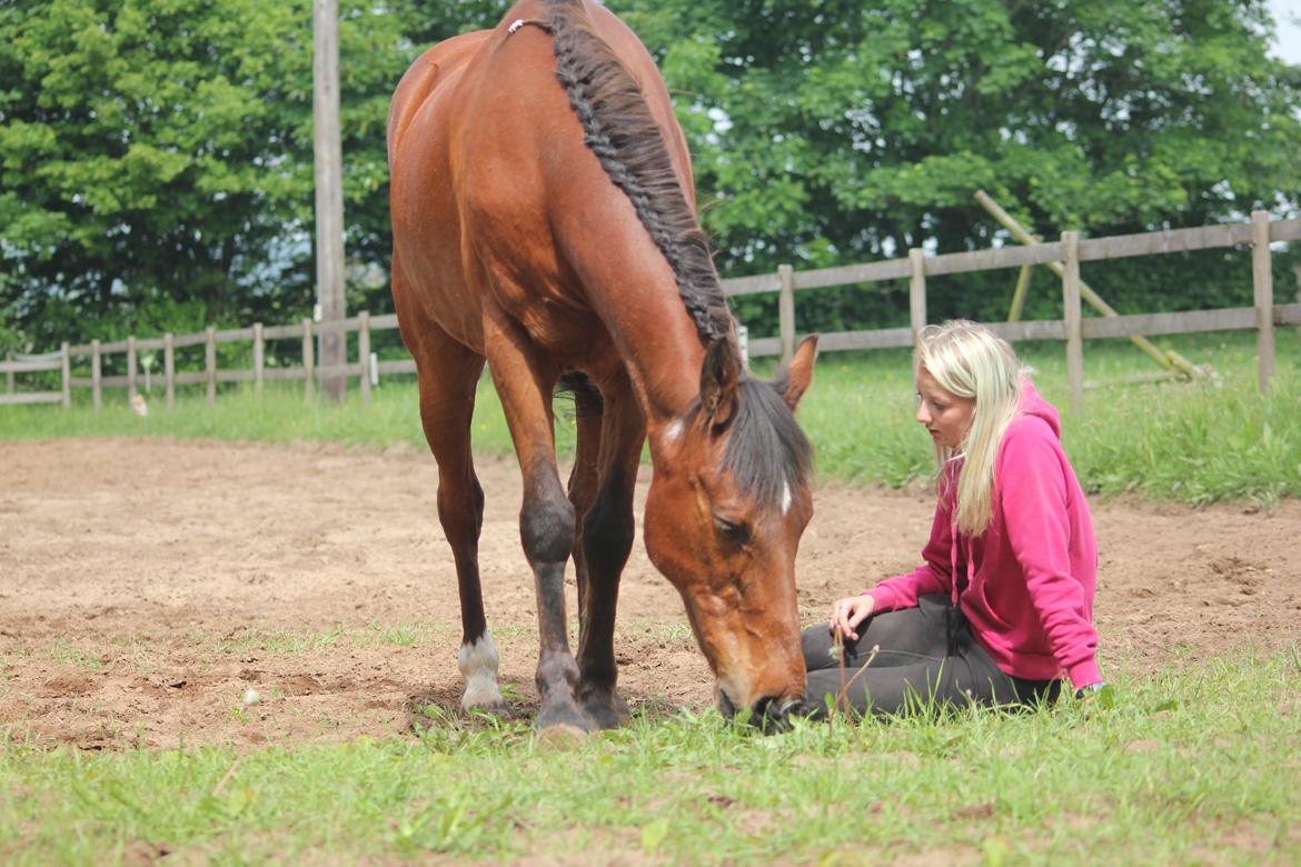 Traver Mark ~ Hypselotte ~ billede 48