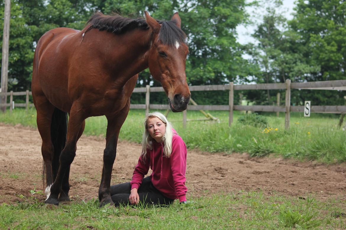 Traver Mark ~ Hypselotte ~ billede 49