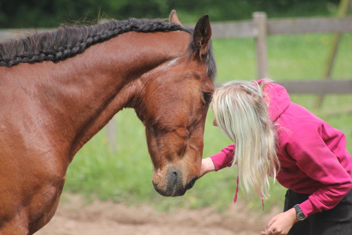 Traver Mark ~ Hypselotte ~ billede 44