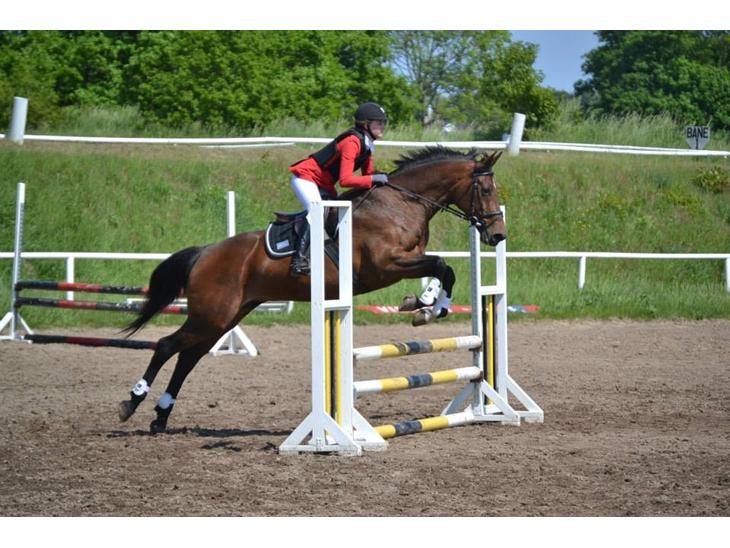 {{currentPhoto.altText}} billede {{currentPhoto.number}}