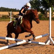 Anden særlig race Fighter