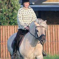 Fjordhest Musti tyler