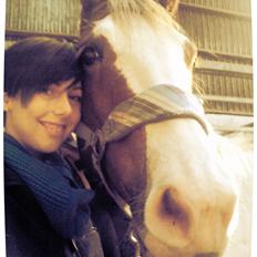 Anden særlig race Tantoos Comander (Kato)