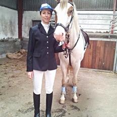 Anden særlig race Tantoos Comander (Kato)