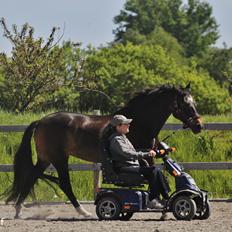 Anden særlig race After Eight´s Chanel / Mutte