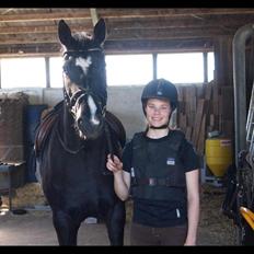 Dansk Varmblod Rosalia Rose