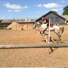 Sportsaraber (A) Chili