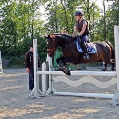 Anden særlig race Holtegårdens Splif <3