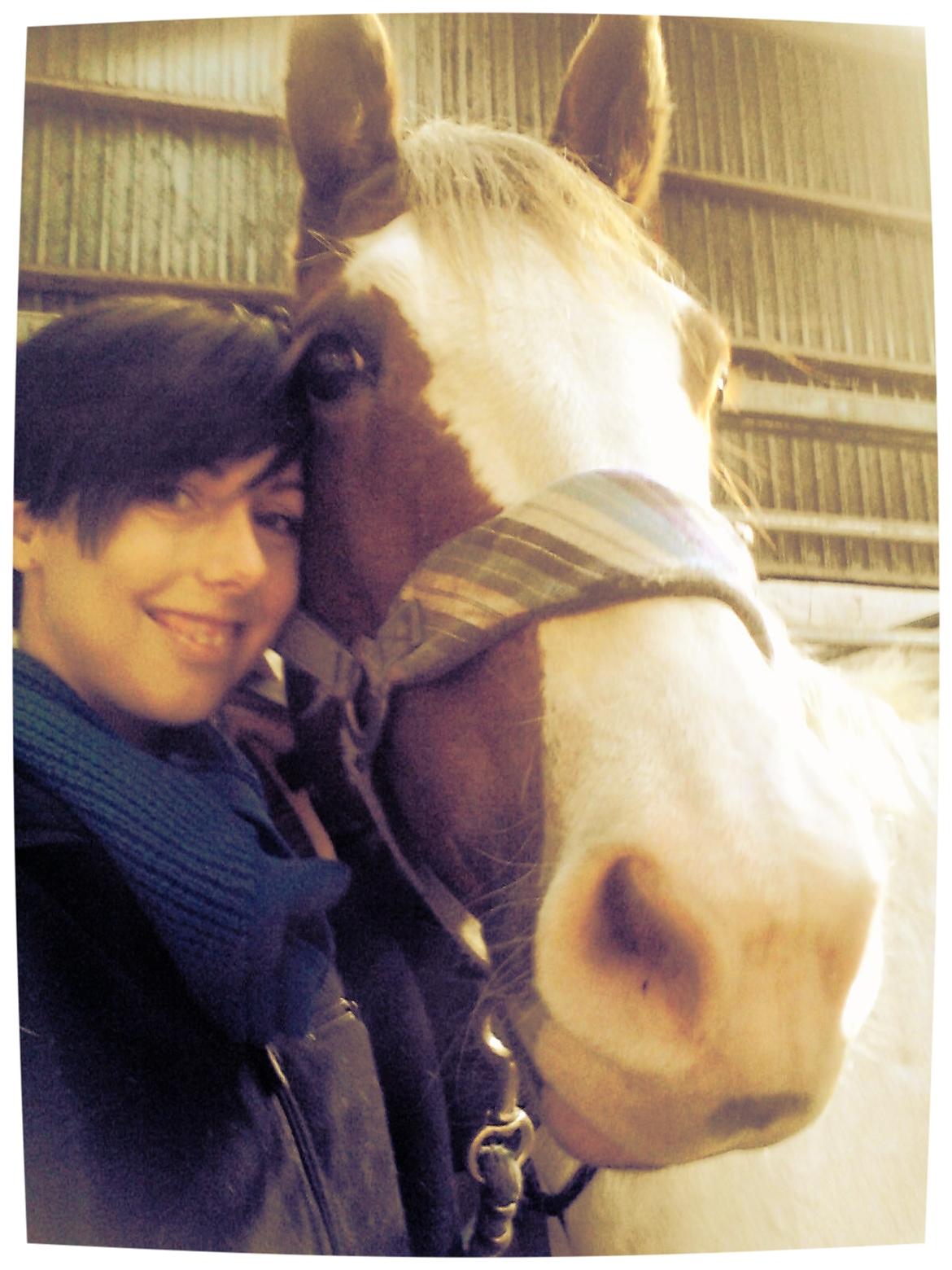 Anden særlig race Tantoos Comander (Kato) billede 2