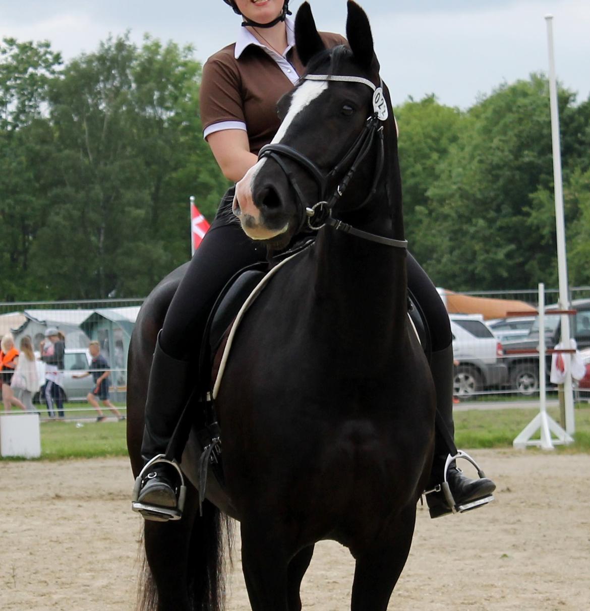 Oldenborg Tea Hedegaard - Roskilde dyrskue 2014. Vi vandt ærespræmie :) billede 1