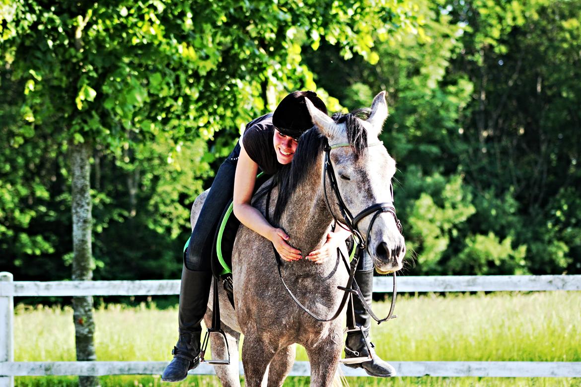 Anden særlig race SG Dusty Dakota  - Elsker dig! billede 4