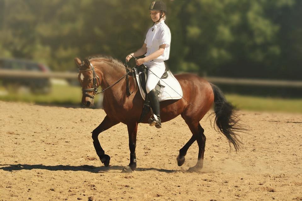 DSP Bæklunds Camikka billede 5