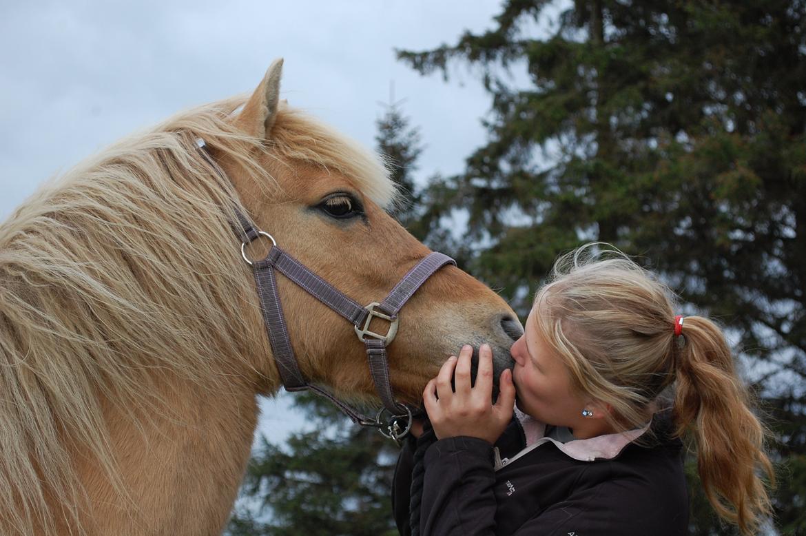 Anden særlig race Hedebo's May Rider *Aflivet* billede 18