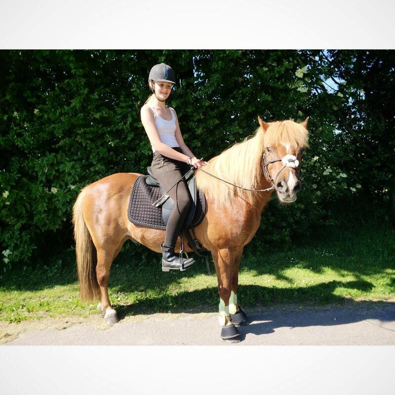 Anden særlig race Jupitor * Himmelhest * - 11-06-2014 ♥ billede 16